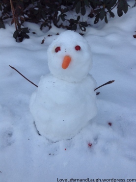 my miniature snowman